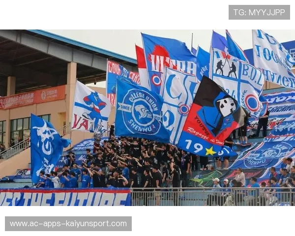 球迷互动：主场活动激发观赛热情，票房与直播人次双增，球队球迷